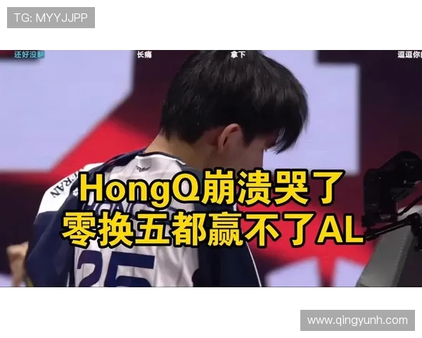 AL与CFO职能对比分析：职能定位、职责差异与协作模式探讨